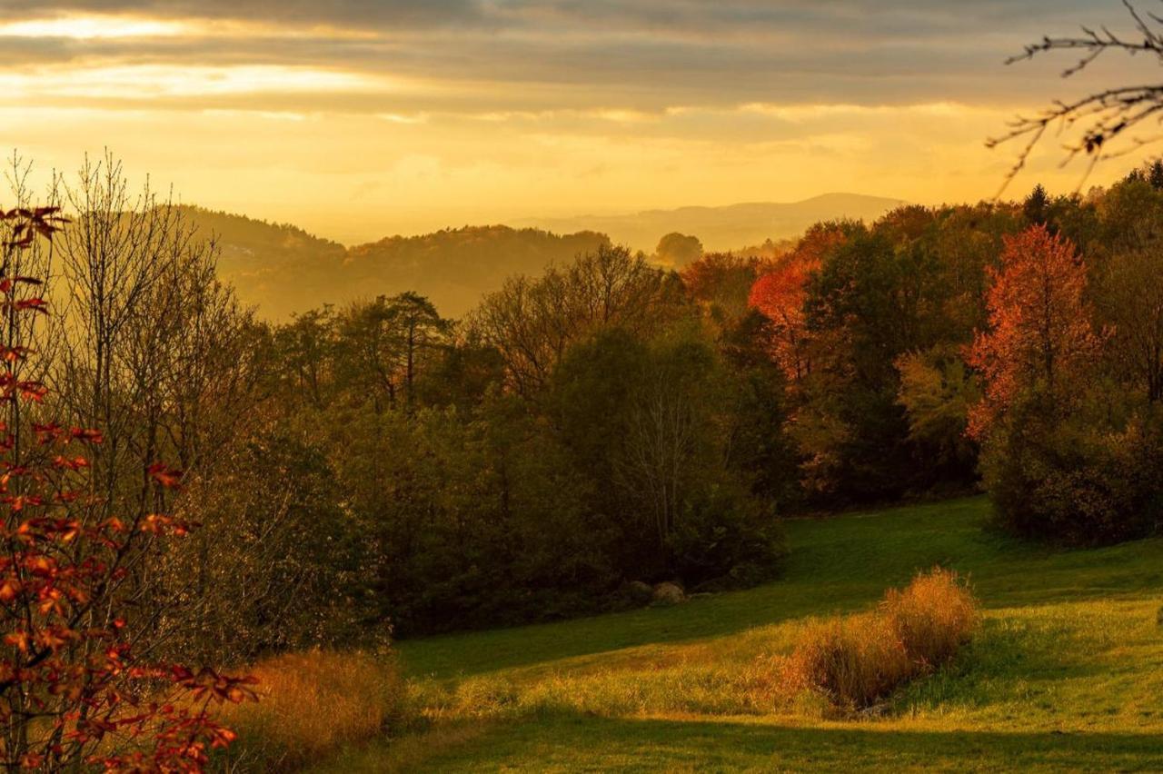 Ferienwohnungen Bauer - Auszeit mit Ausblick Zenting Exterior foto