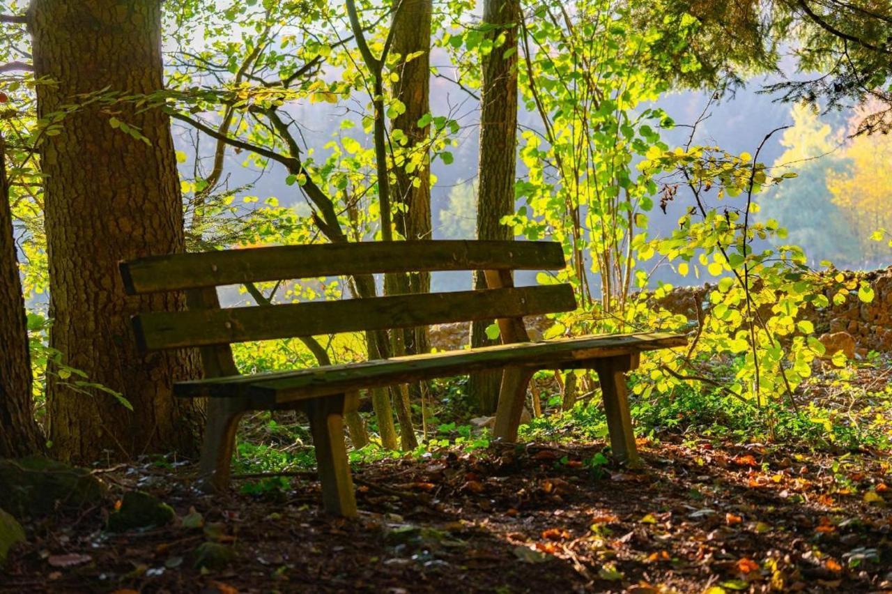 Ferienwohnungen Bauer - Auszeit mit Ausblick Zenting Exterior foto